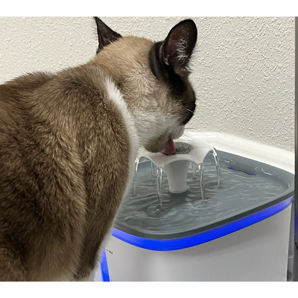 RBaysale Pet Water Fountain Filter with activated carbon